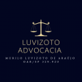 MURILO LUVIZOTO DE ARAÚJO