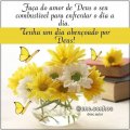 LIVIA DE JESUS SILVA SANTOS
