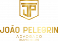 JOÃO VITOR CHRISPIM PELEGRIN